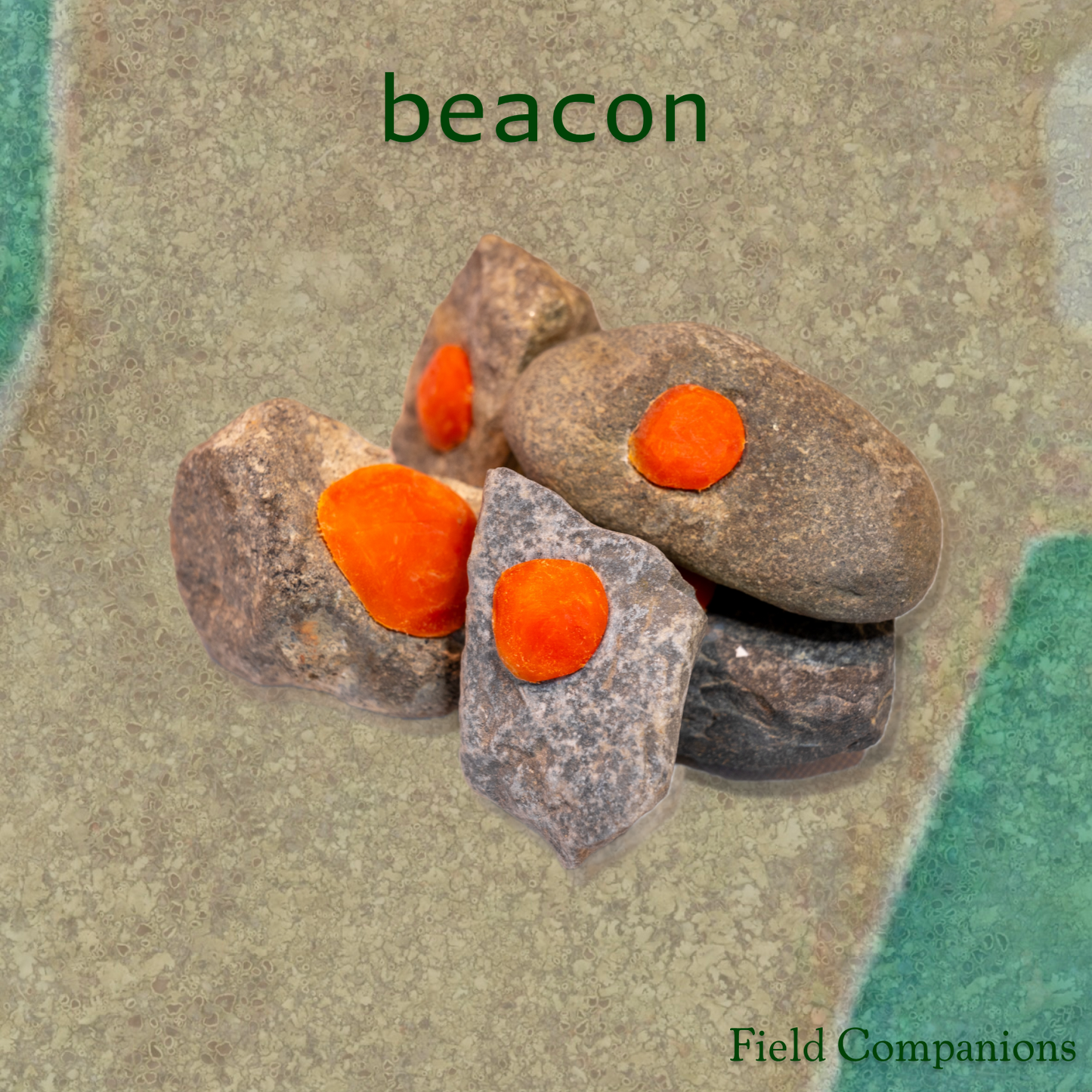 Field Companions