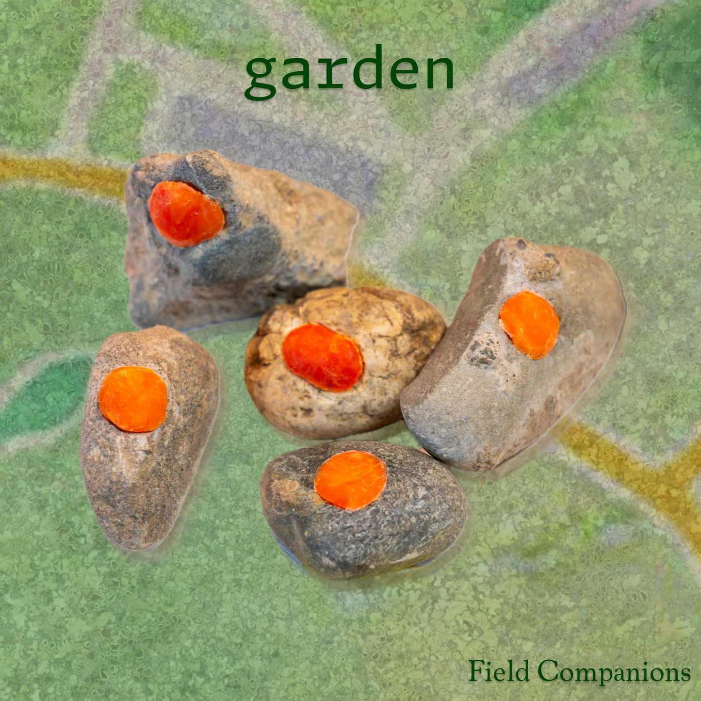 Field Companions
